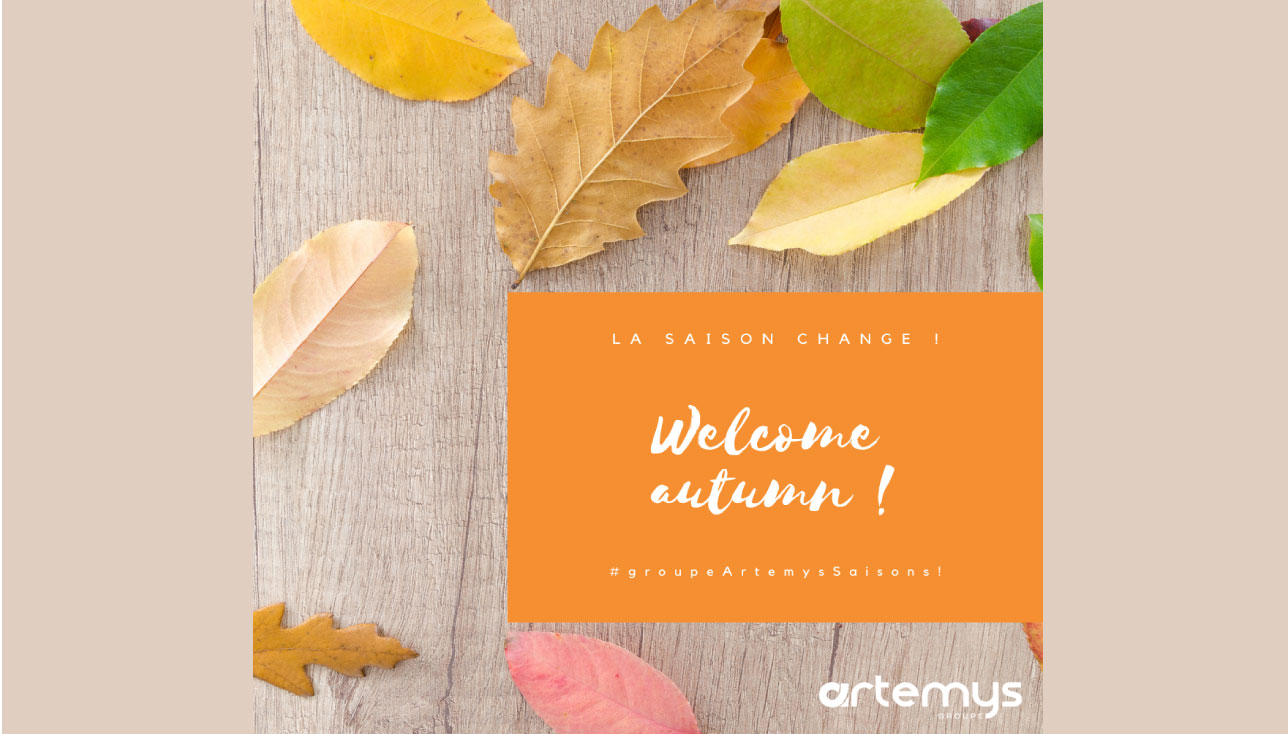 🍁 #groupeArtemys Automne