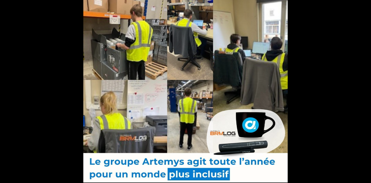 ✨ Inclusion et handicap au sein du groupe Artemys