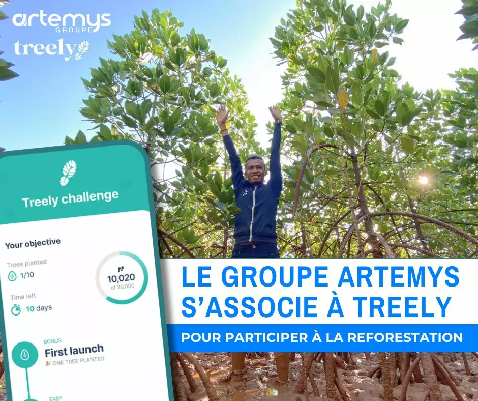 🌳 Challenge Treely