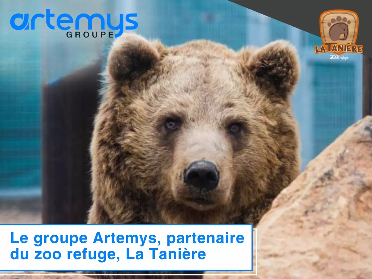 Un don = Un animal sauvé 🐻